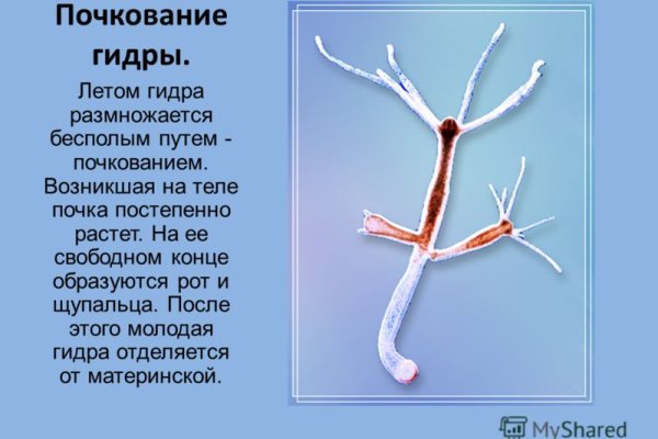 Ссылка на кракен в тор браузере